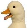 klandrethchick